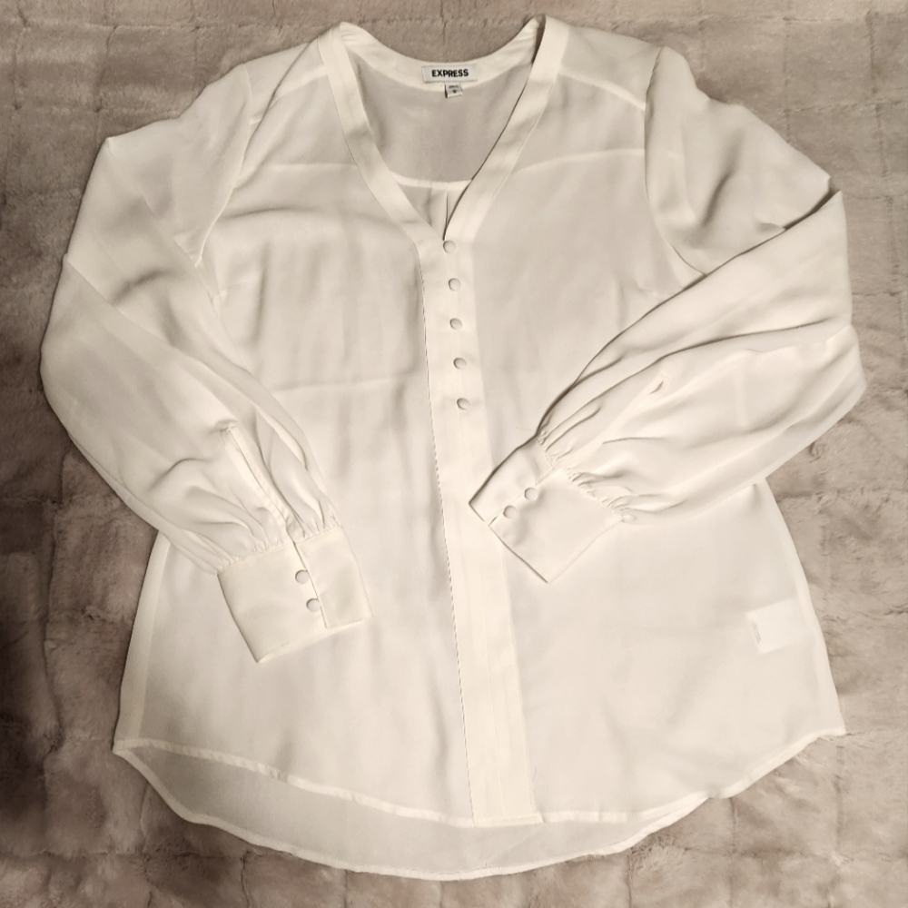 Women's Express Sheer Blouse